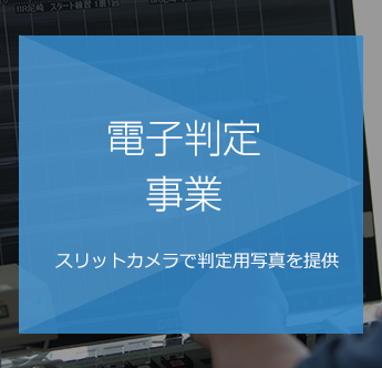 電子判定事業